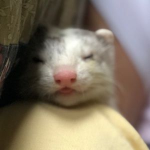 Meet your Posher, Hannah